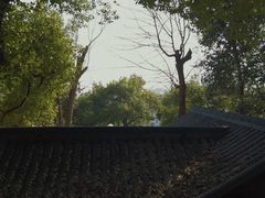 -吴山景区