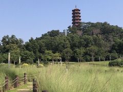 -红花山公园