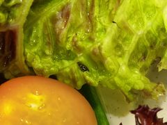 -小土豆北方菜馆(方庄店)
