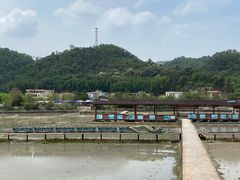 -红山村