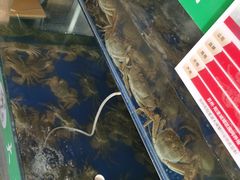 -阳澄湖大闸蟹·琼灵阁牌品牌连锁(吴中总店)