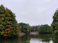-厦门园林博览苑