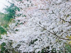 -杭州少年儿童公园