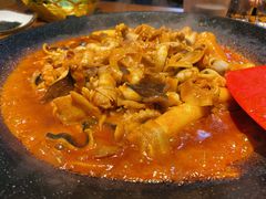 八爪鱼微辣-红辣椒八爪鱼特色韩国料理
