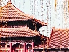 -故宫博物院(故宫)
