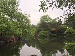 -西湖外事游船(花港观鱼码头)