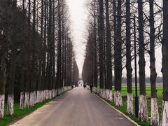 -嘉北郊野公园