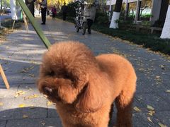 -熙盛源(凤凰街店)