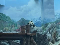 -武汉动物园