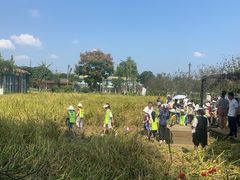 -洪湖家庭农场·团建·露营·会议