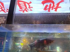 -老街烧烤大排档·地道湖北菜·龙虾馆(汉口火车站店)