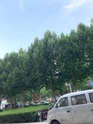 -HEYAN长风荷妍专业脱毛美肤
