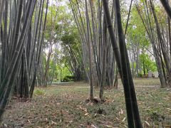 -望江楼公园