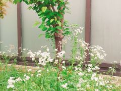 -吴山景区