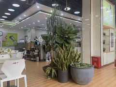 -813芭依珊 BAESAn(皇冠十畝地店)