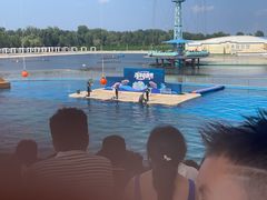 -秦皇岛乐岛海洋王国