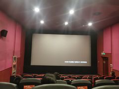 -华谊兄弟影院(IMAX洋桥店)