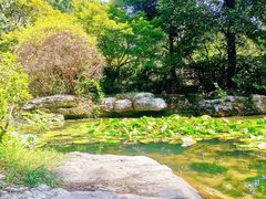 -上海滨江森林公园