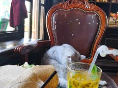 -不舍昼夜咖啡馆