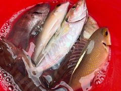 -三亚亚龙湾瑞吉酒店·铭轩中餐厅Mingxuan·海南菜·粤菜