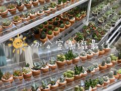 -KKV(东莞海德汇一城店)