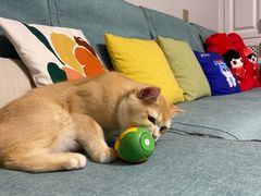 -海底捞火锅(老城根店)