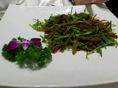 -南海广场(桂城街道)