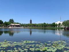 -西海子公园