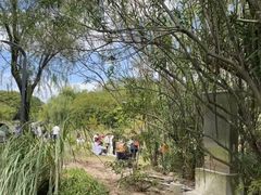 -上海吴淞炮台湾国家湿地公园