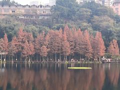 -重庆彩云湖湿地公园