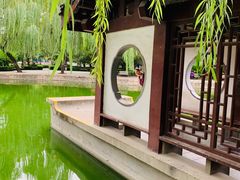 -团结湖公园