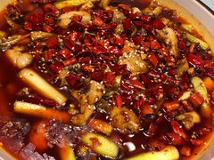 -雲蜀龙阁·金牌水煮鱼(方庄店)