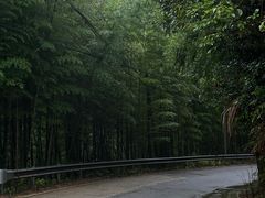 -千泷沟大瀑布旅游区