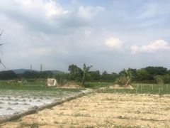 -大旗头古村