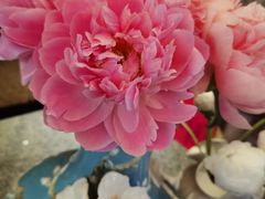 -循礼门鲜花花市(武汉循礼门店)