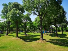 -广富林郊野公园