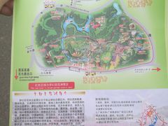 -松山湖梦幻百花洲