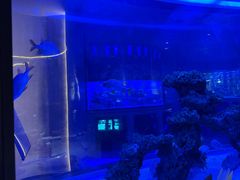 -上和臻品中国菜(花园街店)