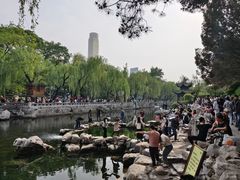 -环城公园