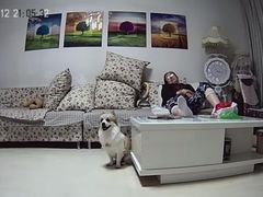 -波姐宠物家庭寄养