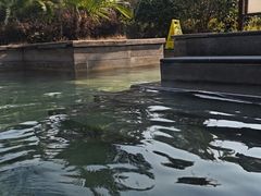 -咸宁万豪温泉谷度假区