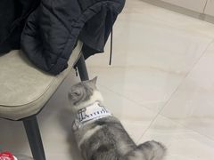 -立德24H动物医院·夜诊·转诊中心·1.5T核磁共振(海珠店)
