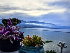 -野菌皇海景野生菌火锅(滨海大道店)