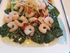 虾仁菜心-高晓山馅饼店(牛庄百年店)