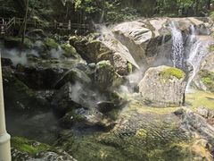 -牛背梁国家森林公园