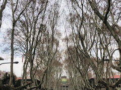 -东南大学(九龙湖校区)