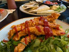 辣鸡条-萨尔瓦多Salvador's