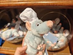 -巴黎迪士尼乐园