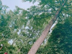 -邓小平故里