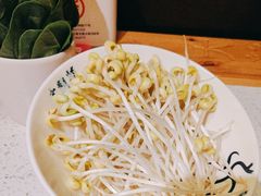 -大龙燚火锅